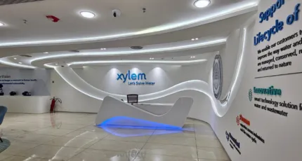 Xylem